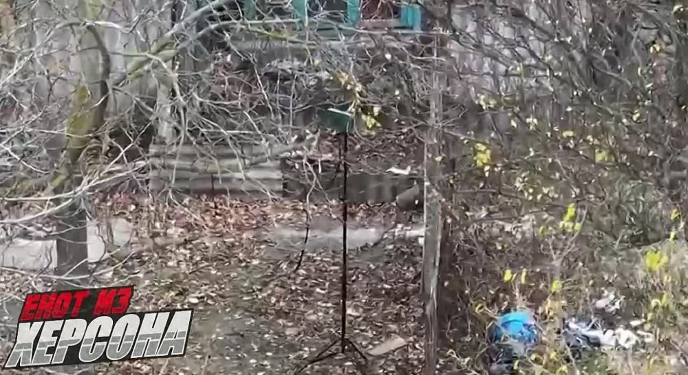 ���� �� �������: ������ �������� ���������� ���������� � ���������� �����������