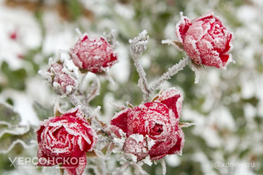 ����� ���� � ���������� ����