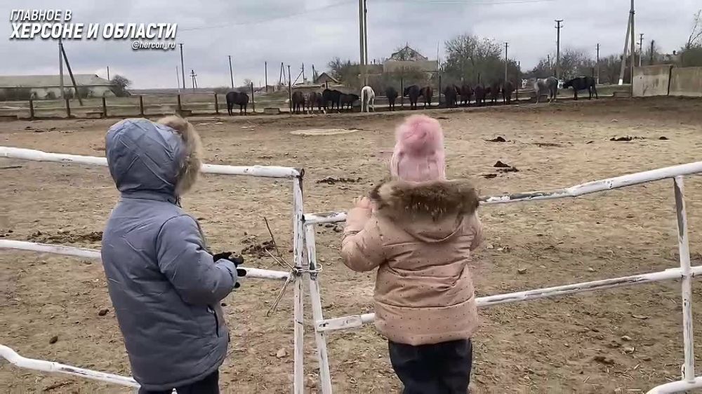 ���� �� ����������� ������ �������� �� ��������� � ������������� � �������� ����������� � ������ ��������� ������� � ���� ���������� �� ��� ������