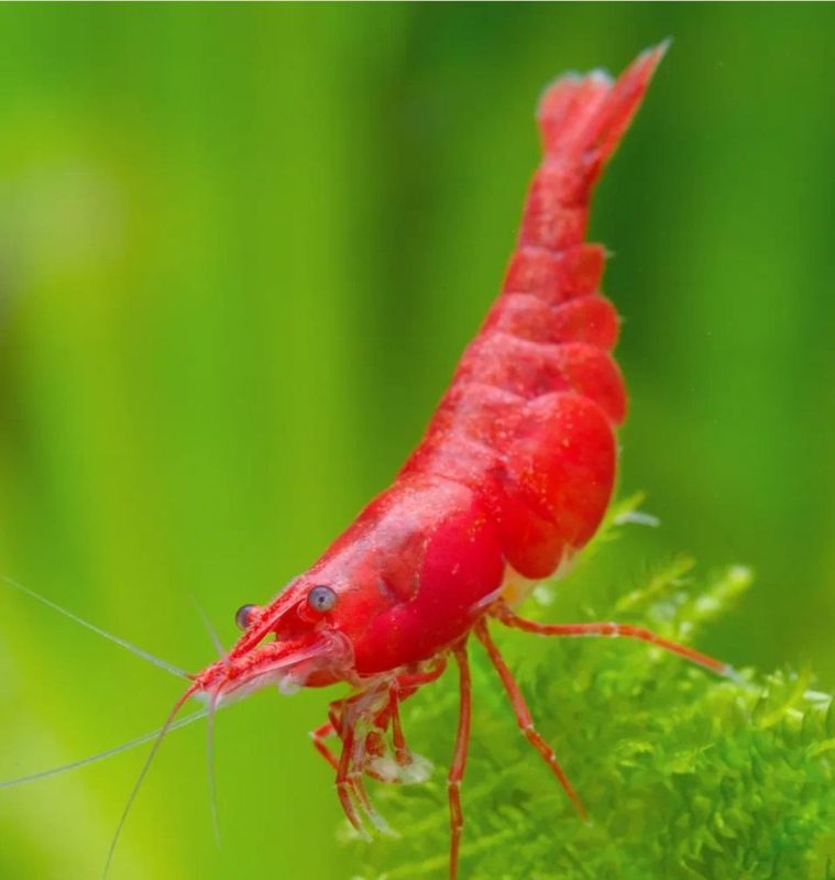 . � �� ����� ��� ������ �������� ��������� � ������