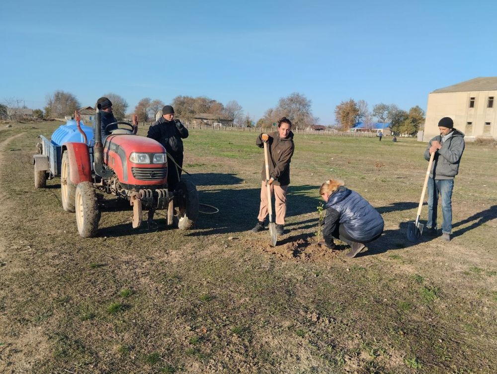 � ���� �������� ������������� ������ �������� ����� 100 �������� ��������