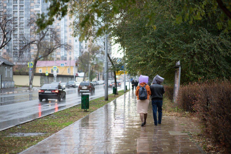 � ���������� ������� 16 ������ ������� �����