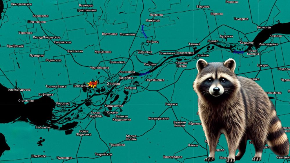 ���� �� �������: ��������������� ����������� ����� ������ �������� ��������� ����� ���� � ������� 118-� ����������������...