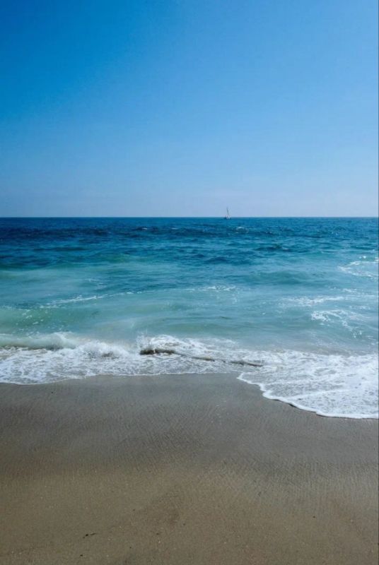 ������ ������ ��������� ������ ���������� ����� (����� �� ��� ��������� � ��������� ��������� ���������� ������ � �� ��� ���� � ��������� �������������� � ������ �������), � ����� ������ ����-�����, ������� �� ��������� �� � ������ �� �������