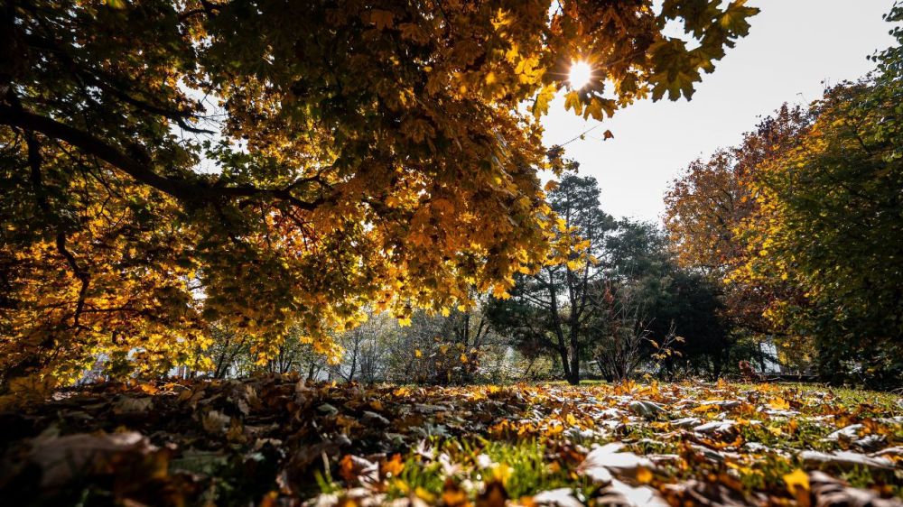 �������� ������: "����� �������� ��� ���� ������������ �����������"