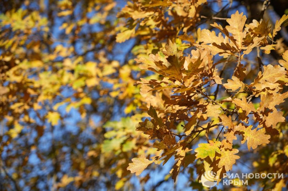 ������ �� ����� ����������� ������