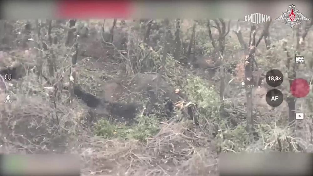 ���������� �� �������� ����� ������������ �������������� � ���