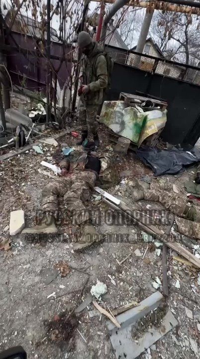 ��� ���� �������� �.� ��������