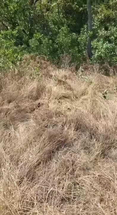 ���� �� ����� ���������� � ���� ���