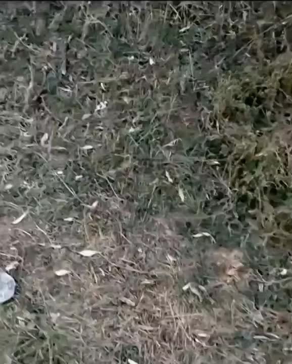 �� �� ��� �������� ���������� ���������� ��� � �������� � �������