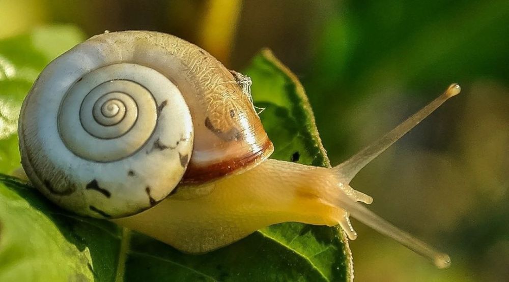 . � �� ����� ��� ������ ����� ����� ��� ���� ������