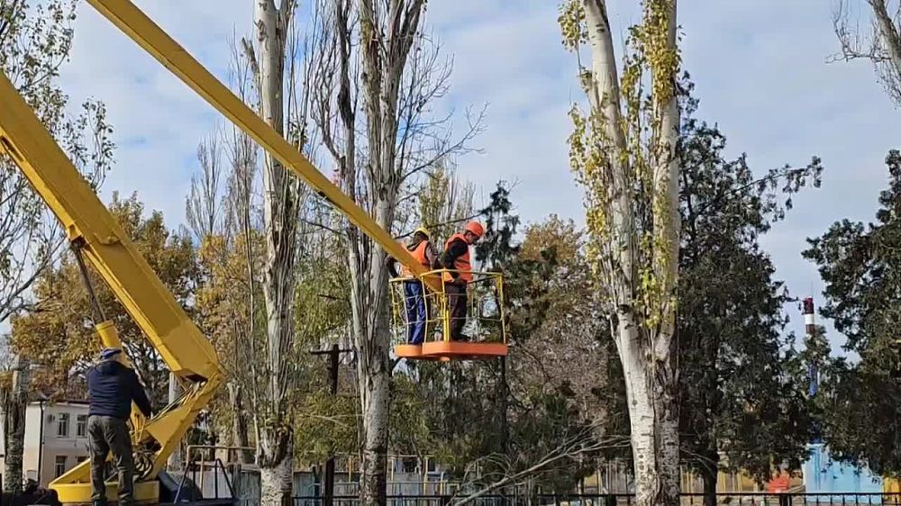 Александр Дудка: Сотрудники МУП «Джарылгач» проводят плановые работы по благоустройству города