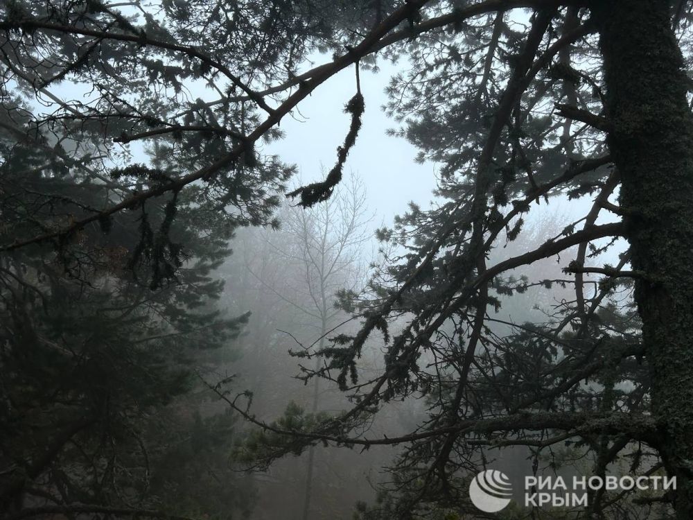 ������ �� ����� ����������� ������