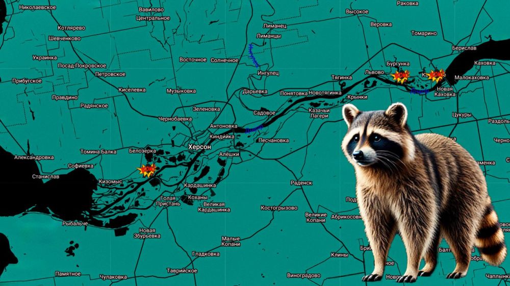 ���� �� �������: ������ ����! ���������� �� �����������: