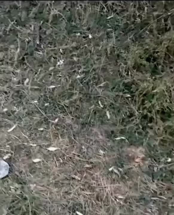 �������� ����� ���� ����� ���������� ����� ���������� �����������, ������� �������� ������� �� ����� �����