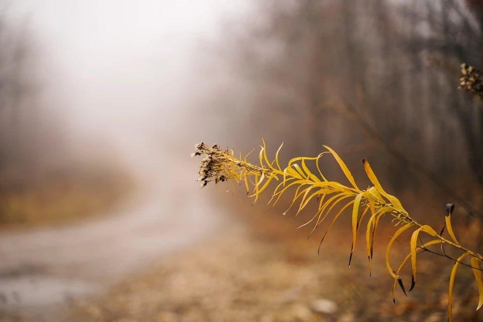 � ���������� ������� 18 ������ ������� ��������� ����� � �����