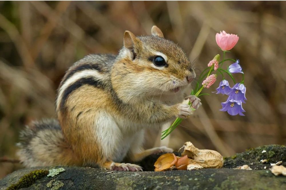 . � �� ����� ��� ���� ��������� ����� ������������� �� ������ � ��� � ��� ���� ������ ��� ��� ������