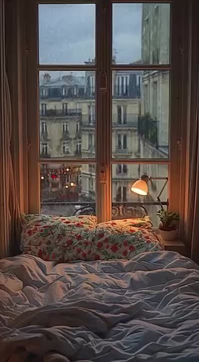 �������� ����������