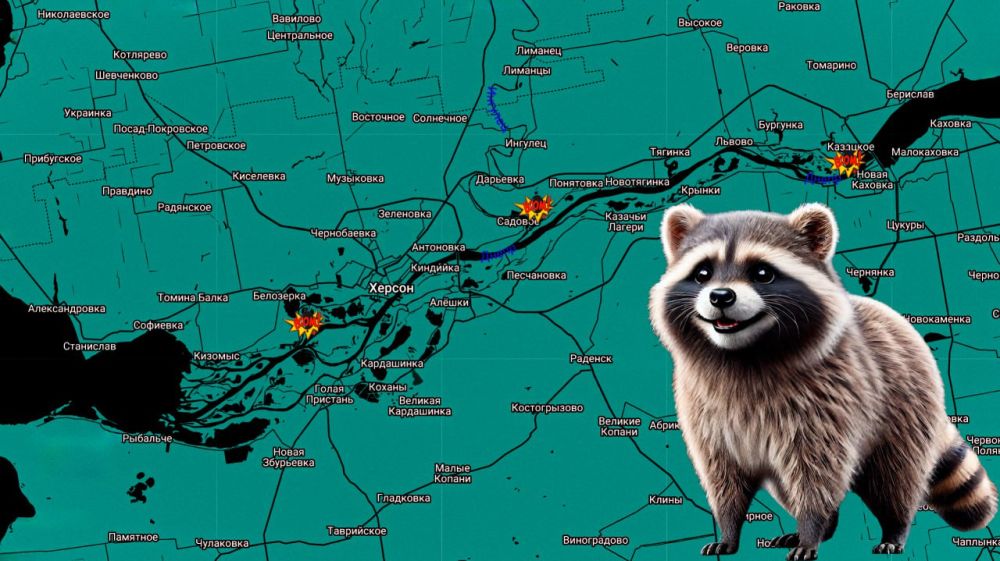 ���� �� �������: ������ ����, ������! ���������� �� �����������: