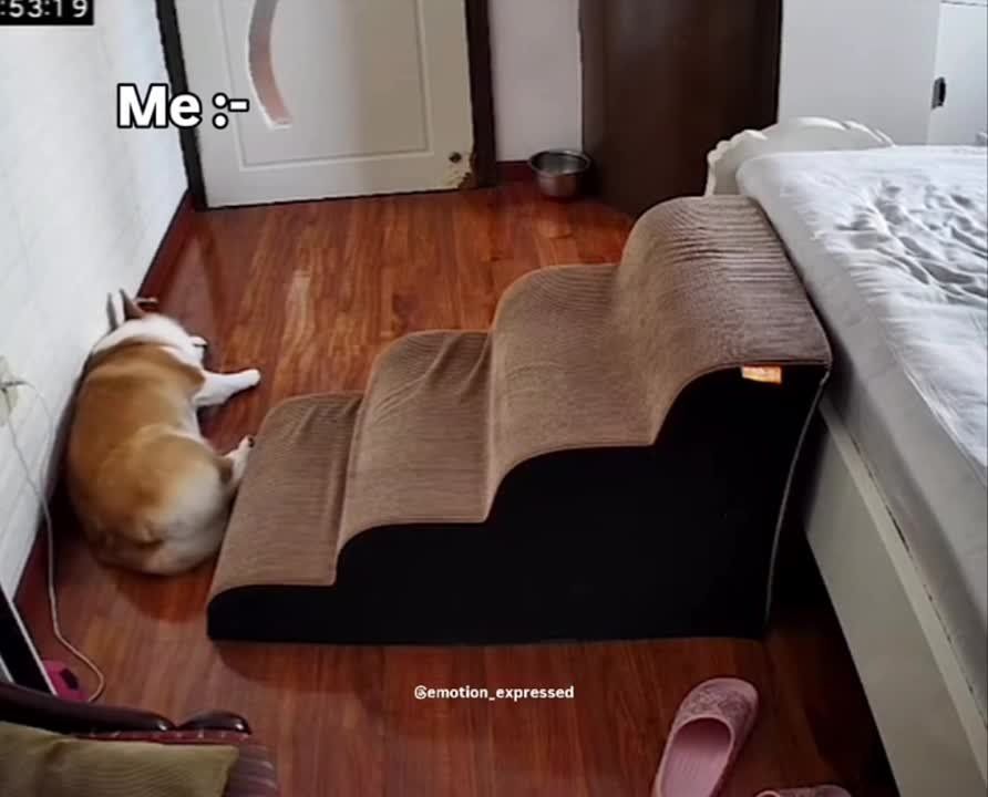 ������ ���������� � ������� ���� ������� ������� ���������!