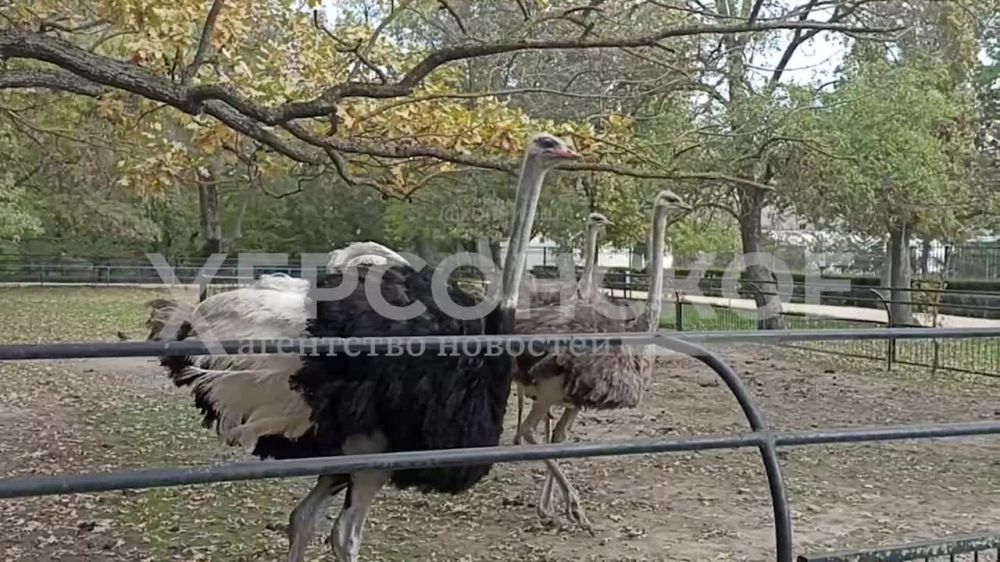 ������ ����? ��, � ����� ������! �������� ���� ��� ���� �������