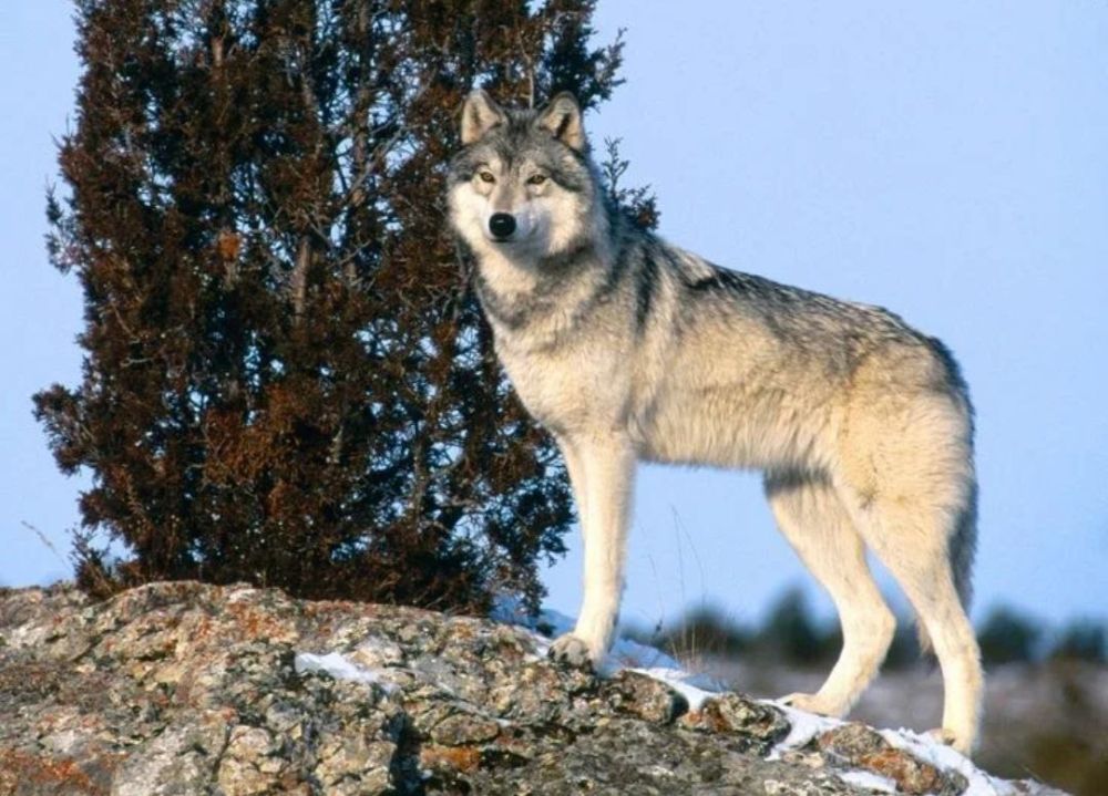 . � �� ����� ��� ����� ����� ������ 20 �� ���� �� ���� ����� ����