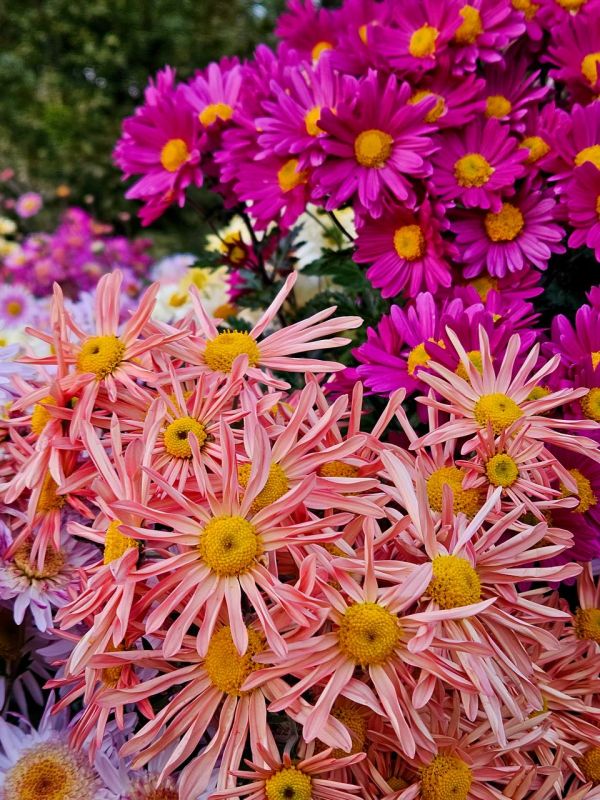 � ������ �����, �����������!