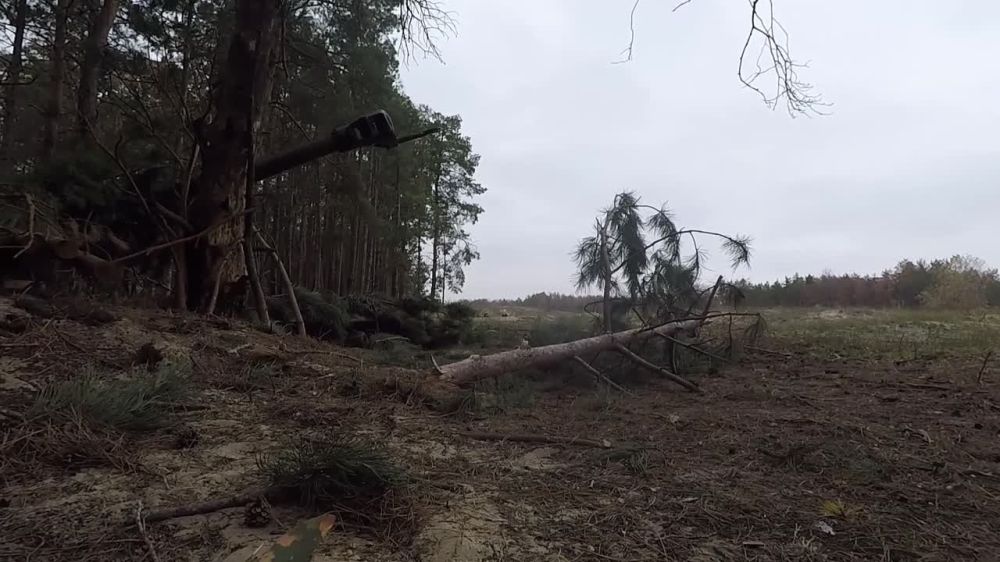 �������� ������: ������������ ����������� ������ ������� ���������� ����� ���������� ���� ��� �� ��������� �����������