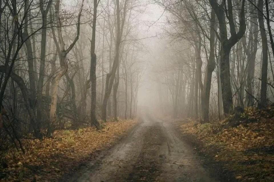 � ���������� ������� 27 ������ �������������� �����