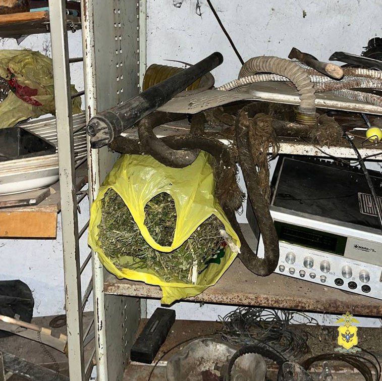 � ���������� ������� ����������� ������ � ������ ������ ������������� ������ ����� � ��������