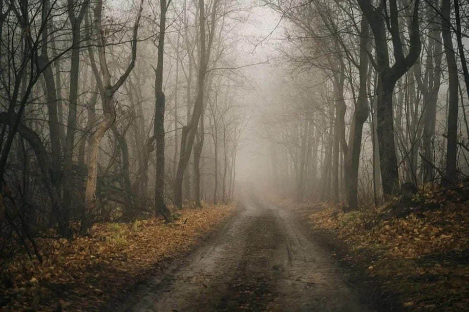 ���������� ������� 29 ������ ������� �����