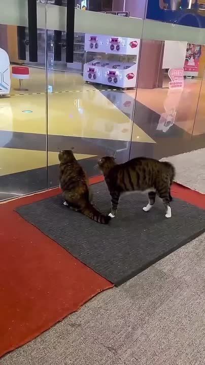 ���� ��� ���� �����. �, ��������, ��� ���� �����