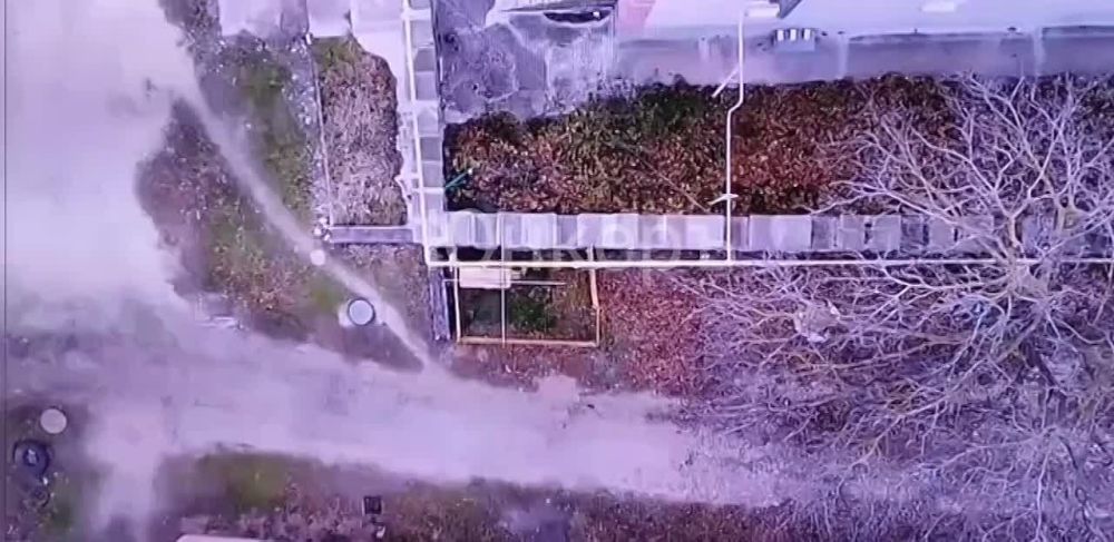 ���� �� �������: ���������� �����������. ����� ����������� ���������� �������� �������������� � �������� � ��������������