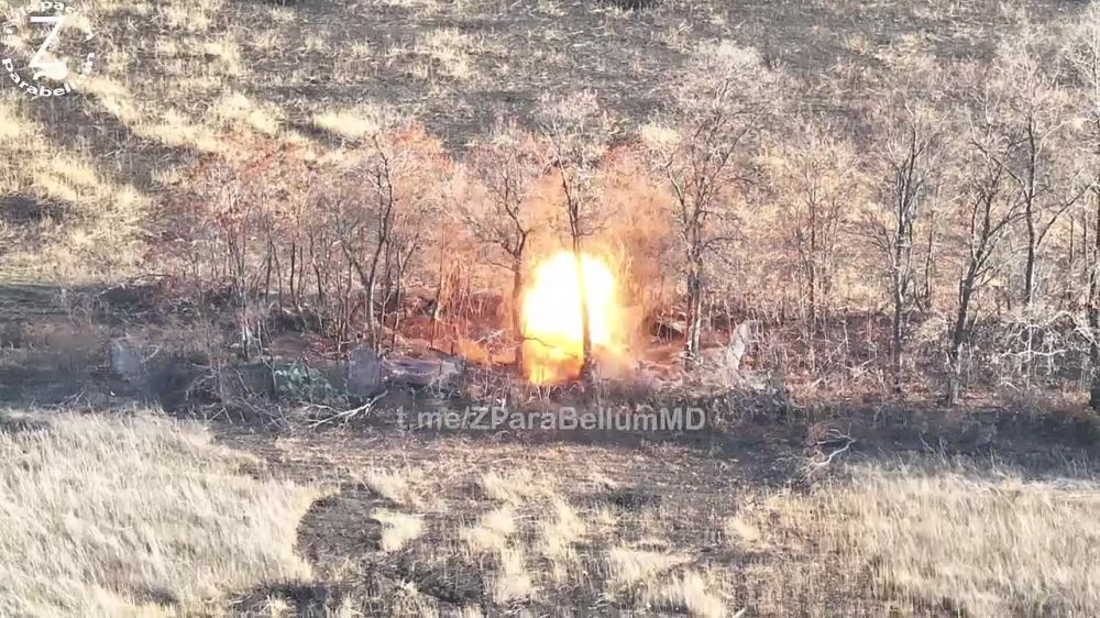 ���������� ���� ��� ������������� ������� � ������������ ��������, ����������� ������� �����Ȼ � �������� ������������ ��������� ����˻: �����������, �����, �������, ����������