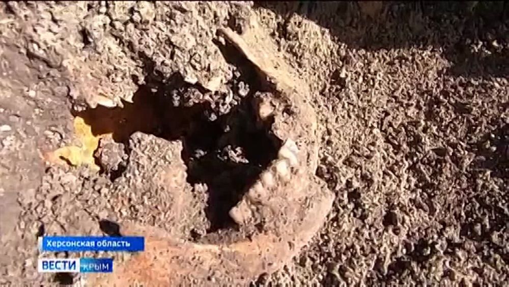 �� ���������� ���������� ������� ���� � ��������: �� ��������� ���������� ������� �����