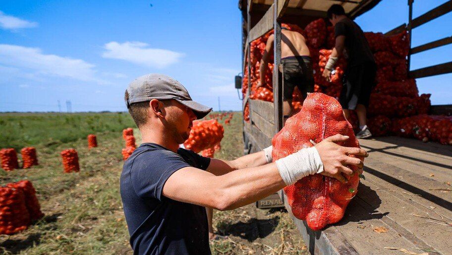 ������ ������� ����� 57,5 ���� ���