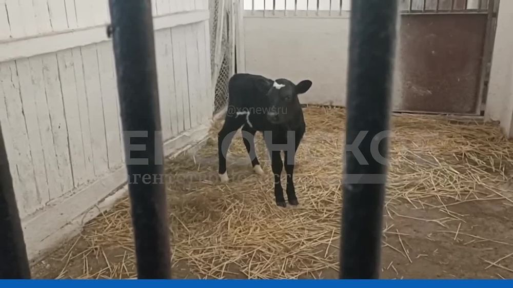 ���������� � ������ ���� � � ����� �������� ��������