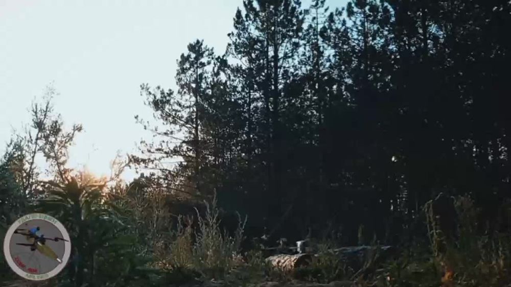 ���������� �����������