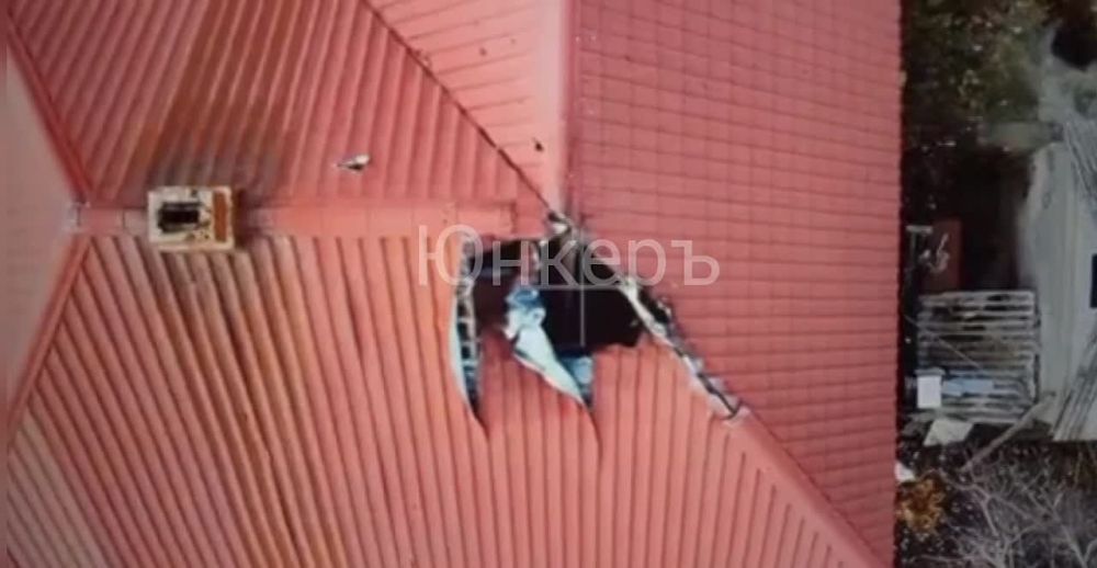 ����� � ������. ���������� �����������, ����� ������ ����. ���������� ���������� ������������ �� ������ ������. �������� ������ � ������� ��������