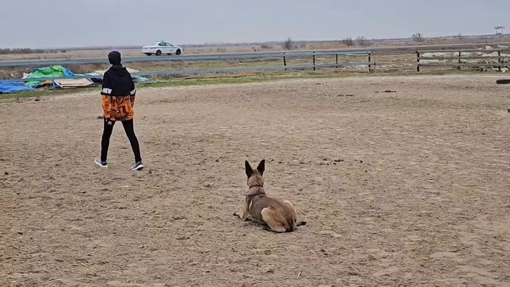 � ����� ���������� ��� ������ �������� � ���������� ������ ����� "������" ��������� ���������� � �������������� �����������