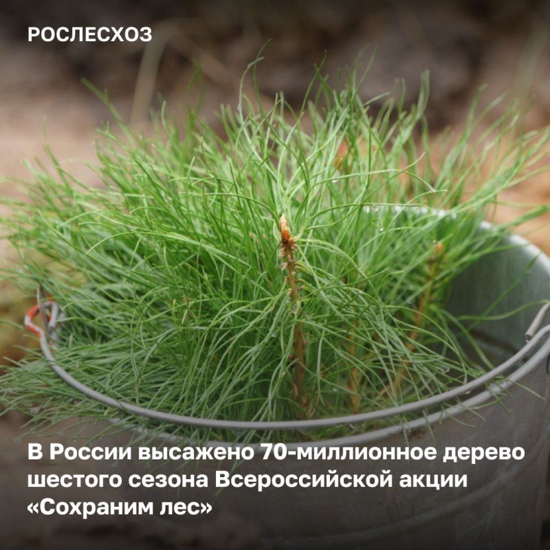 ���� 2024 ���� �� ���������� ���������� �������� � ������ ������������� ����� ��������� ��� ����������