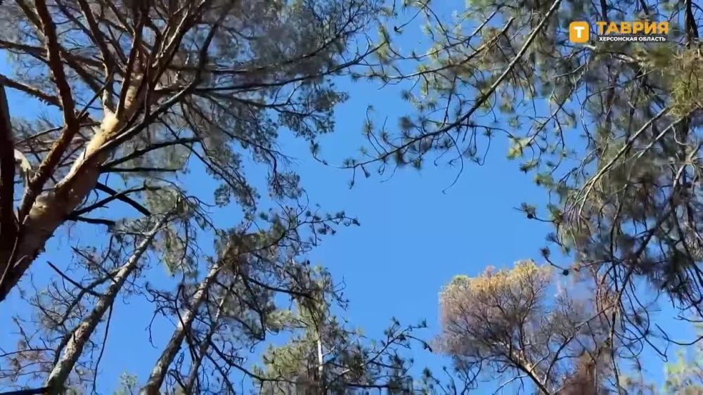 ������ ���������� ������ "�����" ����������� ����� "�����" ��������� �������������� ������ ��� �� ������ ������ ������