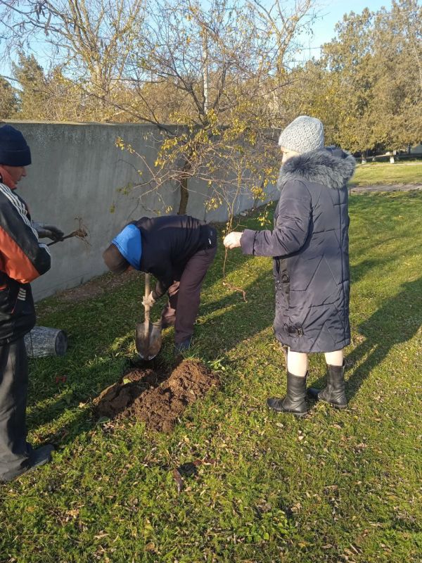 ��������������� � ���� ����������: ���������� ������ �� ����������