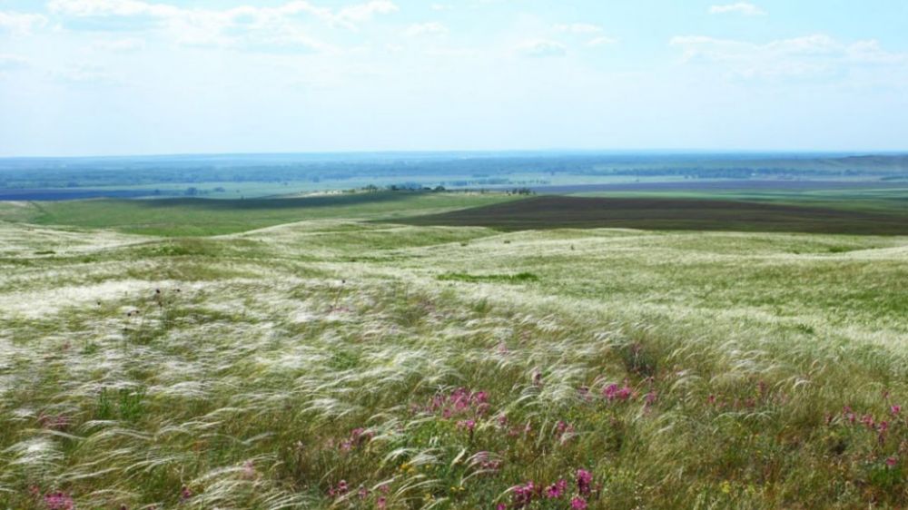 ������� ���� �������: ��� � ���������� ������� ������� ������ �����?