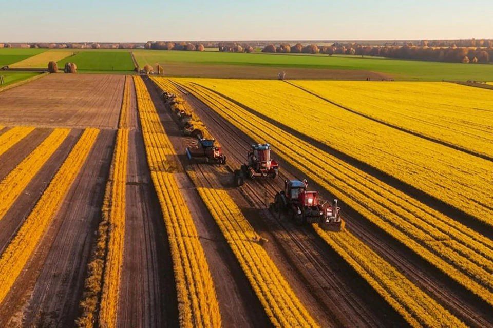 �������� ����������: ��������� ������ �������������� �������������� ����� �� 213 ���� ������