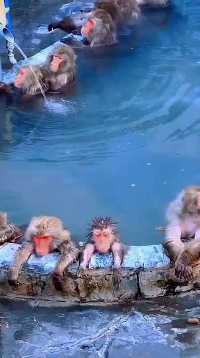 �� ��� �� ��������... � ������, �� "����" � ������, �� "�����" � �����, �� ��� � ������ �� ��� � �������� ������. �� ������ ���� ������