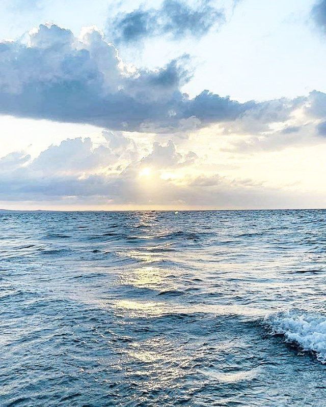 ����� ����������: ������ ����, ������! ����� � ����� ����� � ��������!