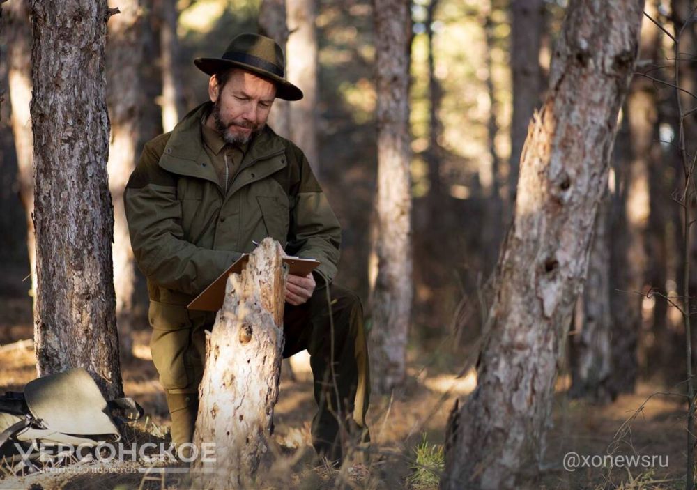 ������ ����� � ���������� ������� ����������� � 2025 ����