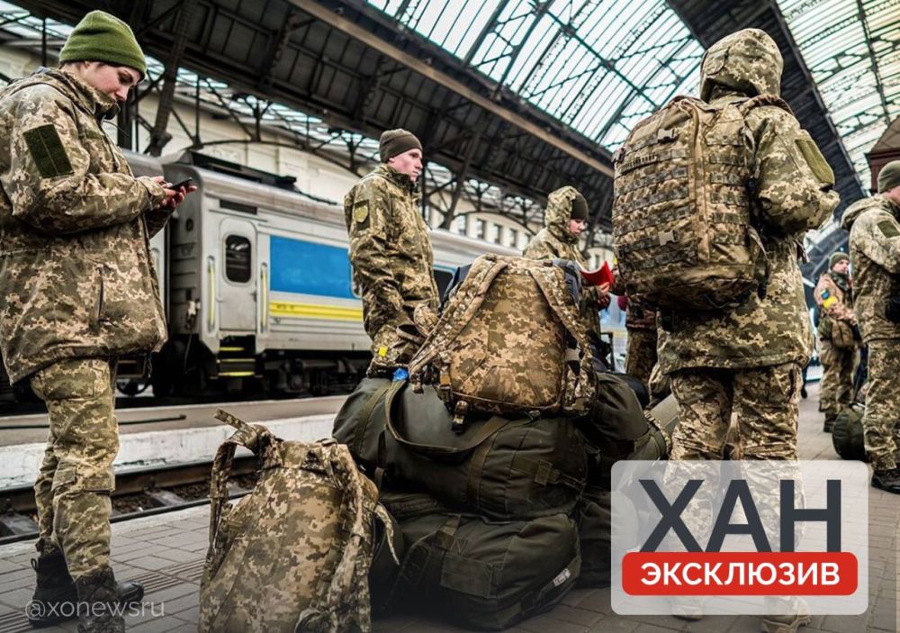 ������� ��������� � ������������ ����������� �������������� ����������� �������� �������