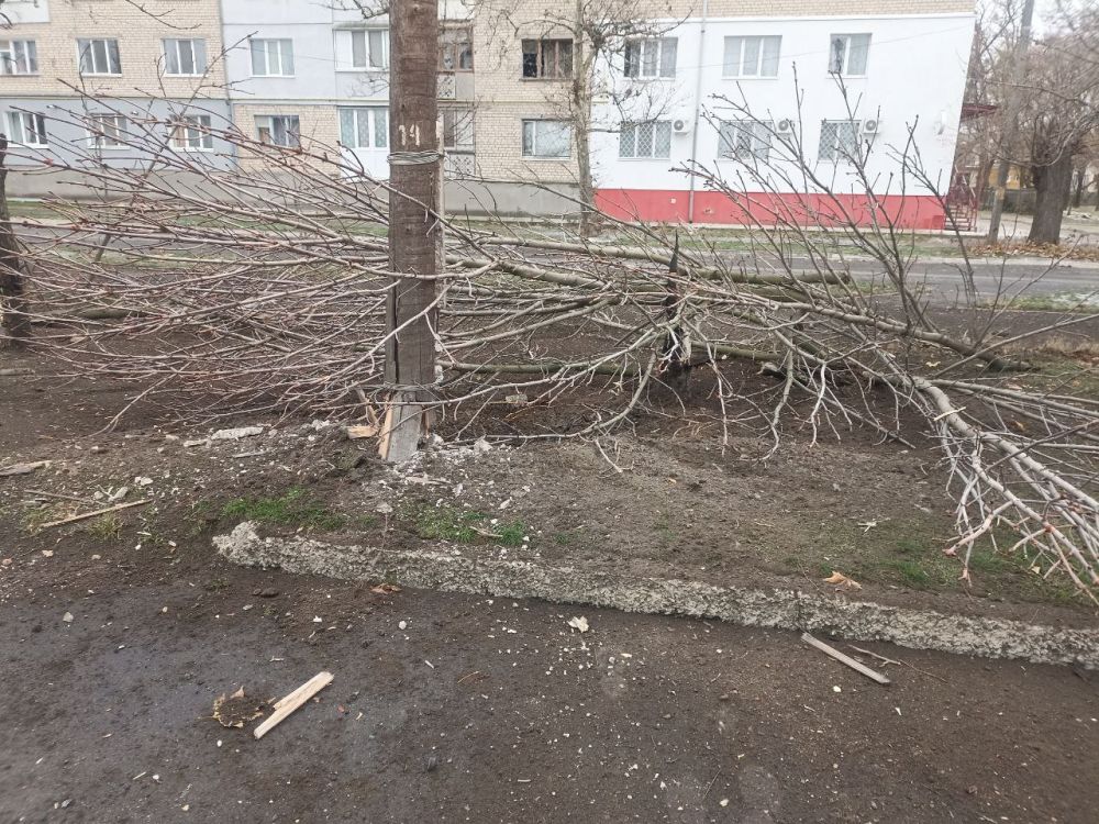 ����� �������� ���������� ������ �� ������� ���